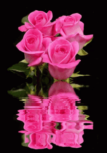 Rose Reflection GIF - Rose Reflection GIFs