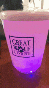 great wolf lodge light up light cup water
