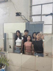 a group of people taking a picture in front of a mirror that says project of pisa 2013