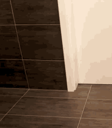 Tiles Walls GIF - Tiles Walls GIFs
