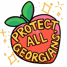 protect all georgians georgia peach peach right to vote georgia