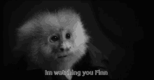 What Did Jack Do Orangutan GIF - What Did Jack Do Orangutan David Lynch GIFs