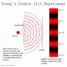 Parksunghwhore Yangs Double Slit Experiment GIF - Parksunghwhore Yangs Double Slit Experiment Youngs Double Slit Experiment GIFs
