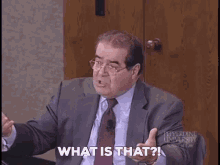 Scalia Antonin Scalia GIF - Scalia Antonin Scalia Scotus GIFs