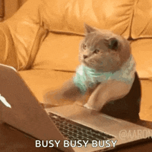 So Busy Working GIF