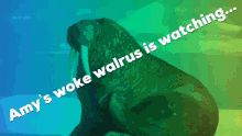 Woke Walrus Amys Walrus GIF - Woke Walrus Amys Walrus Woke GIFs