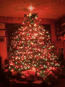 árvore De Natal GIF - Christmas Tree GIFs