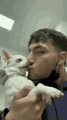 Kissing Dogs GIFs | Tenor