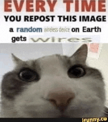 every time you repost this image of a random wireless device on earth gets wires .