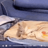 Bunny Cute Bed Sleep GIF - Bunny Cute Bed Sleep GIFs