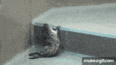 a seal is laying on a concrete floor with make a gif.com at the bottom of the screen