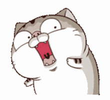 ami fat cat shocked surprise woah