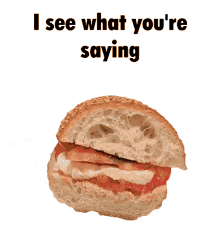 i see i understand i get it i see what youre saying sandwich