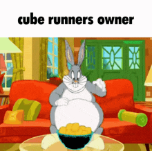 Cube Runners Owner Cube Bouncers GIF - Cube Runners Owner Owner Cube GIFs