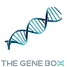 the gene