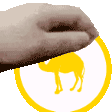 a hand is holding a yellow circle with a camel in it