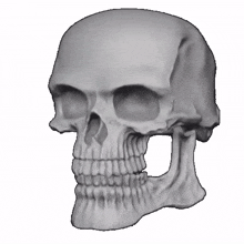 skull skull emoji sus smile transparent