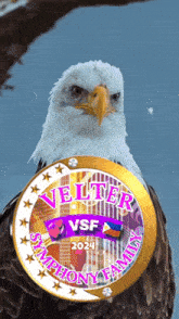 a bald eagle with a sticker that says velter symphony family on it