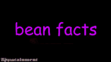 Bean Facts Bean Fact1 GIF - Bean Facts Bean Fact1 Im Thinking Bout Those Beans GIFs