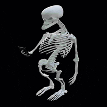 a skeleton is holding a cell phone with the words what written below it