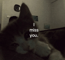 a cat with the words " i miss you " on it