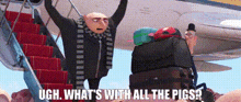 Despicable Me 3 Gru GIF - Despicable Me 3 Gru Whats With All The Pigs GIFs