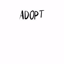 adoptdontshop shelter