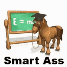 Donkey Smart Ass GIF - Donkey Smart Ass Educated GIFs