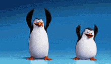 Penguin Happy Dance GIF - Penguin Happy Dance Dance Moves GIFs