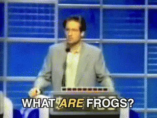 David Duchovny Frogs GIF - David Duchovny Frogs Jeopardy GIFs