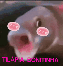 Bonitinha Tilapia GIF - Bonitinha Tilapia Bonitinho GIFs