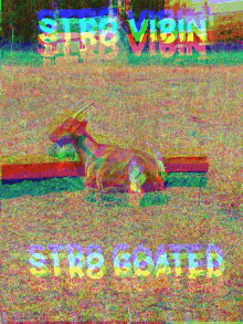Goated Vibin GIF - Goated Vibin Goats GIFs