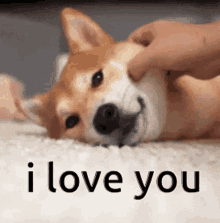Send This To A Loved One I Love You GIF - Send This To A Loved One I Love You Doge GIFs