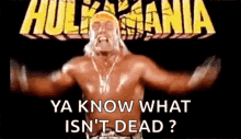 Hulk Hogan Hulkamania GIF