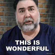 This Is Wonderful Chris Frezza GIF - This Is Wonderful Chris Frezza Its Awesome GIFs