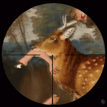 deer hunting spoof wtf