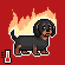 a pixel art drawing of a dachshund with flames behind it
