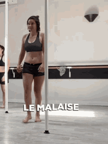Adelys Malaise GIF - Adelys Malaise Pole Dance GIFs