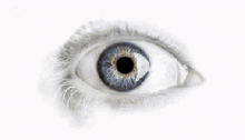 Eye Animation GIF - Eye Animation Amazing GIFs