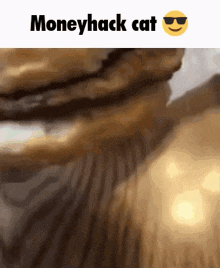 moneyhack rust