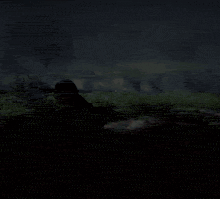 a silhouette of a person in a dark forest with a red light behind them