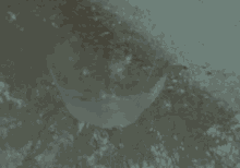 Tori Amos Ophelia GIF - Tori Amos Ophelia Visualette GIFs