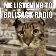 Ballsack Radio Jam GIF - Ballsack Radio Jam Cat GIFs