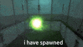 a pixelated image that says i have spawned on it