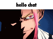a picture of a man with pink hair and the words hello chat above him