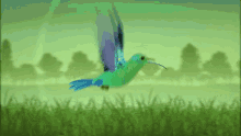 Humming Bird GIF - Humming Bird Flying GIFs