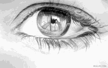 Glossy Eyeball GIF - Glossy Eyeball Eye GIFs