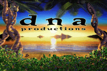 an ad for dna productions shows a sunset over the ocean