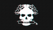Skull Skeleton GIF - Skull Skeleton Glitch GIFs