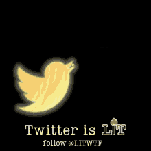 Litwtf Twitter GIF - Litwtf Twitter Lit GIFs